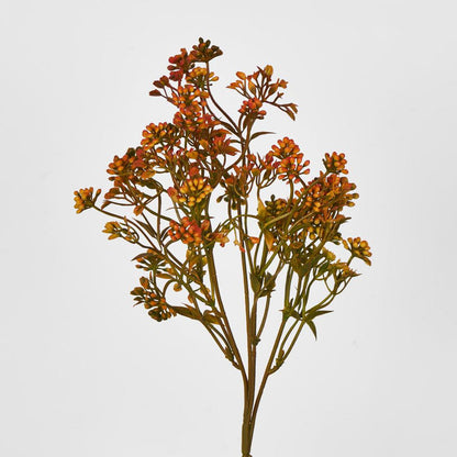 Badassi Bush Orange