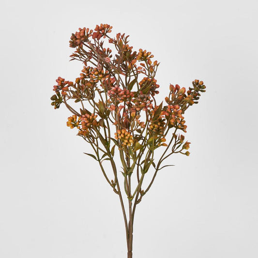 Badassi Bush Peach