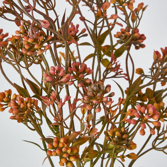 Badassi Bush Peach