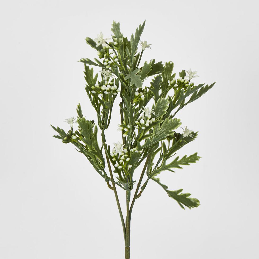 Santa Maria Berry Spray Green