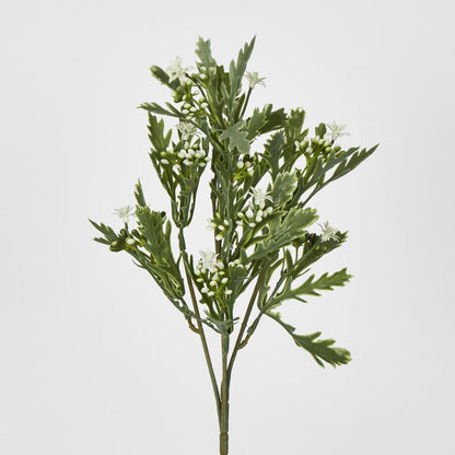 Santa Maria Berry Spray Green