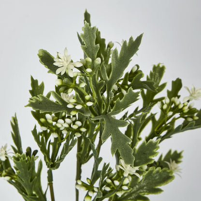 Santa Maria Berry Spray Green
