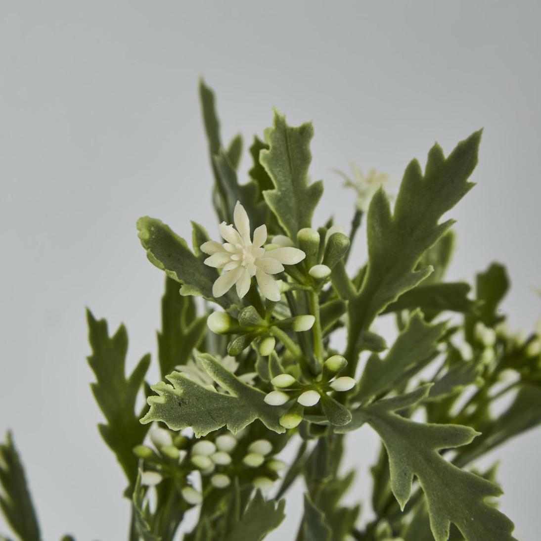 Santa Maria Berry Spray Green