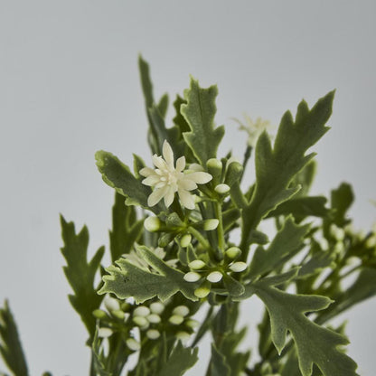Santa Maria Berry Spray Green