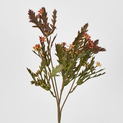 Santa Maria Berry Spray Peach