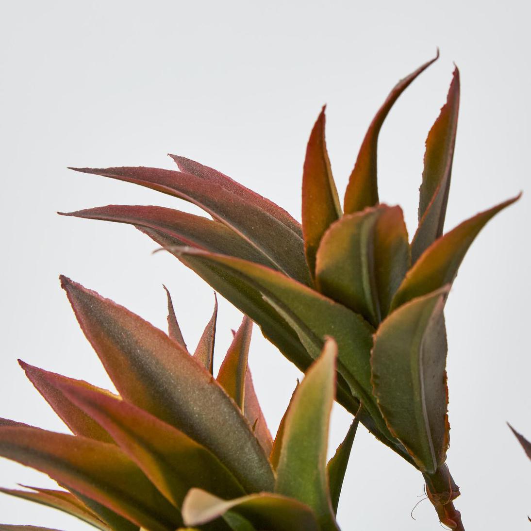 Pine Leaf Spray Pink