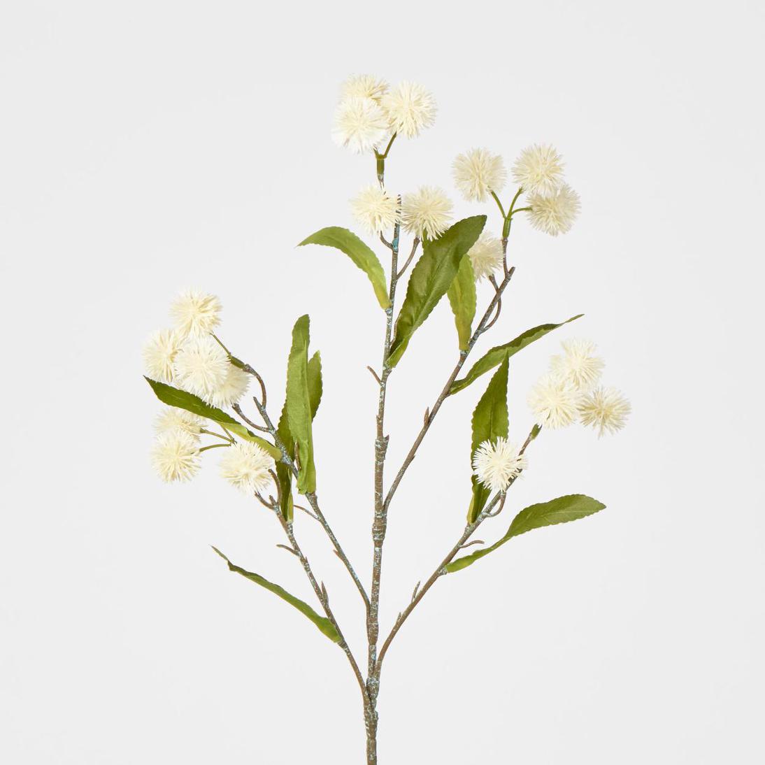 Burdock Spray White