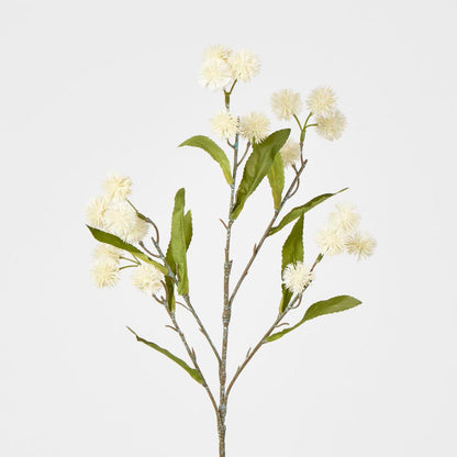 Burdock Spray White