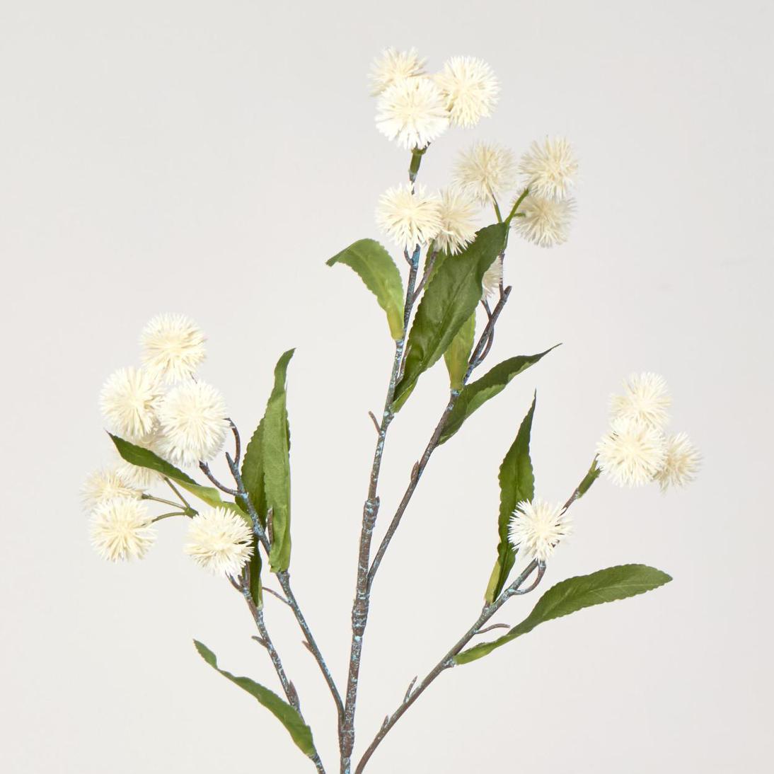 Burdock Spray White