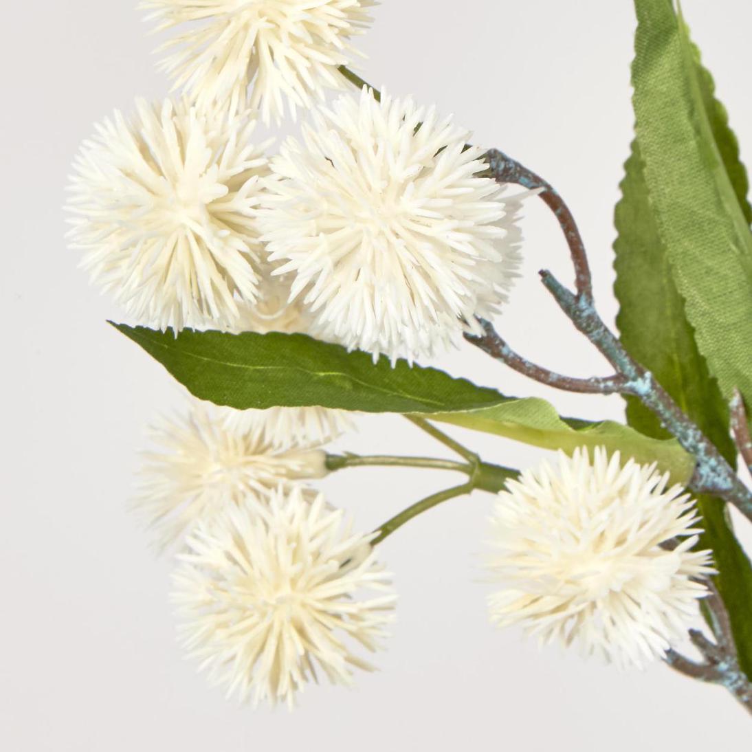 Burdock Spray White