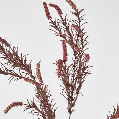 Amaranthus Spray Purple