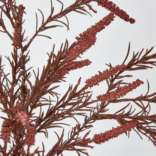 Amaranthus Spray Dark Pink