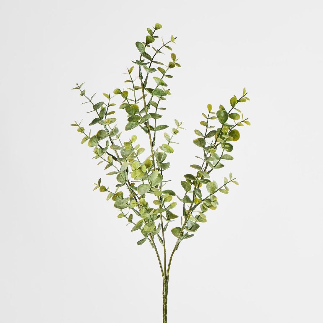 Eucalyptus Spray 65cm Green