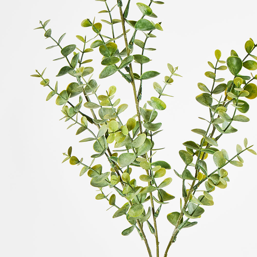 Eucalyptus Spray 65cm Green