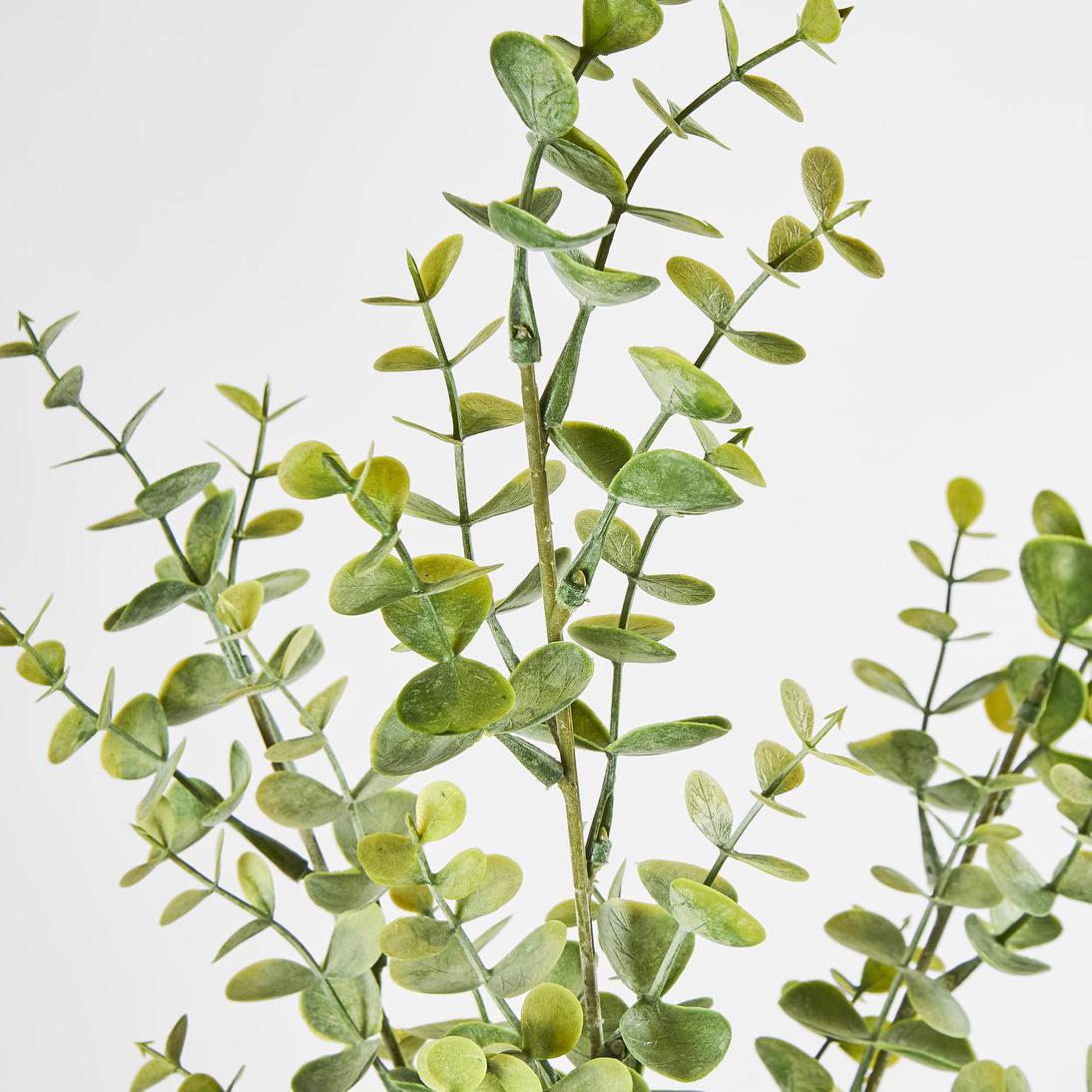 Eucalyptus Spray 65cm Green