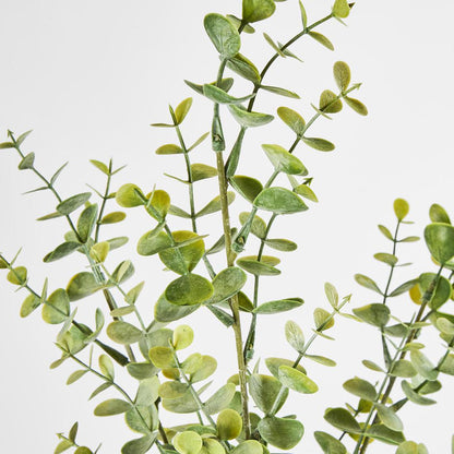 Eucalyptus Spray 65cm Green