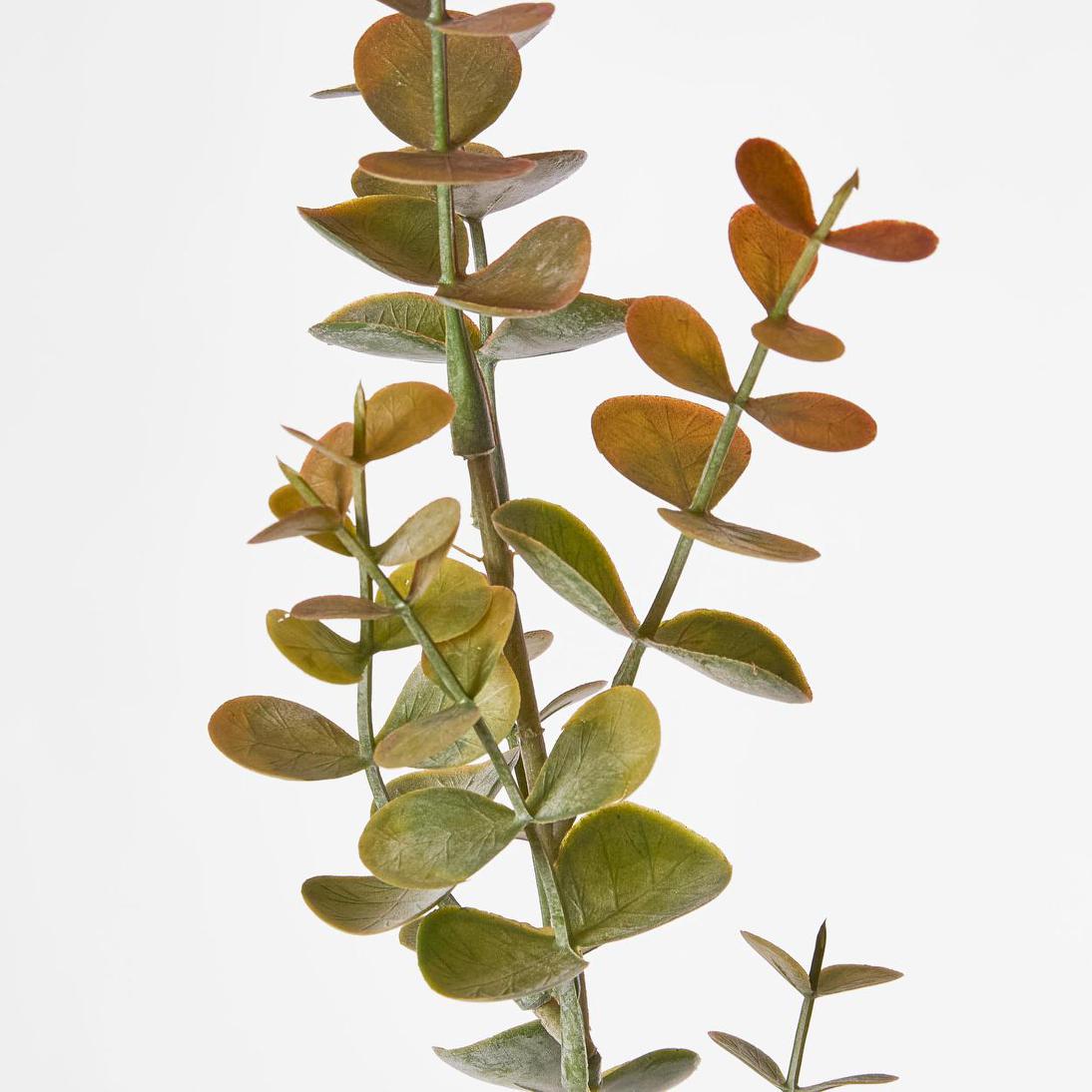 Eucalyptus Spray 65cm Pink
