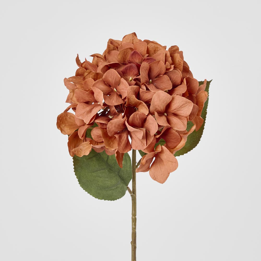 Hydrangea Stem 69cm Brown