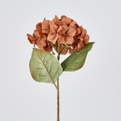 Hydrangea Stem 69cm Brown