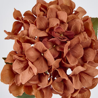 Hydrangea Stem 69cm Brown