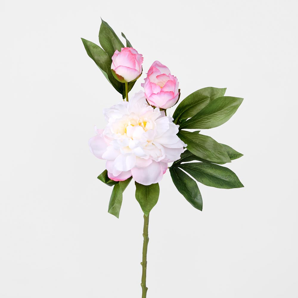 Peony With Two Buds Stem Pink
