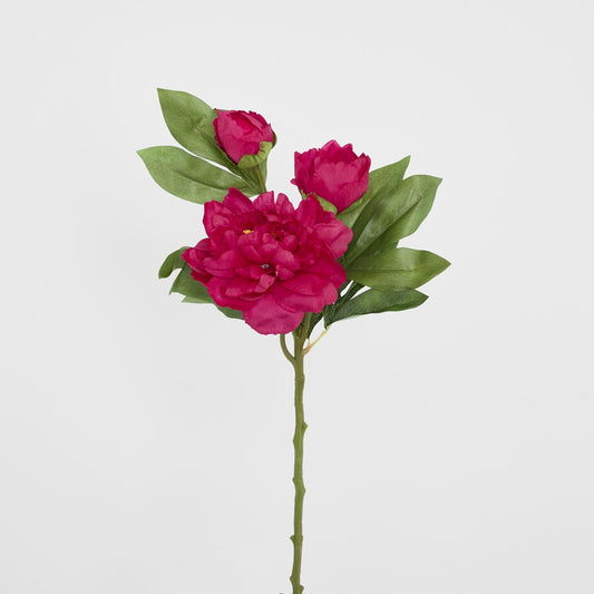 Peony With Two Buds Stem Fuchsia