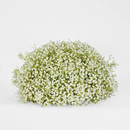 Baby's Breath Floral Ball