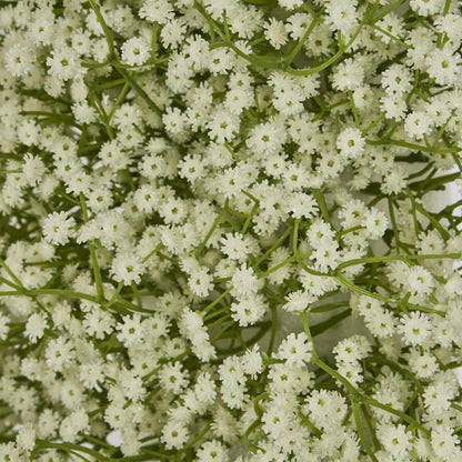Baby's Breath Floral Runner