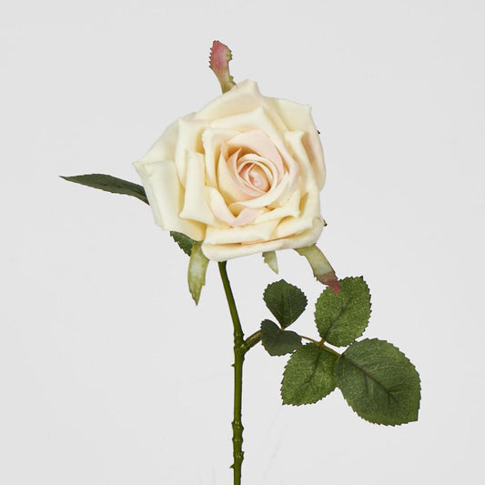 Rose Stem Cream