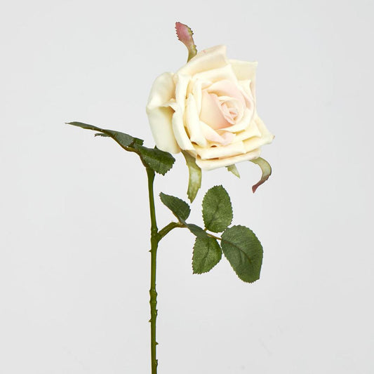 Rose Stem Cream