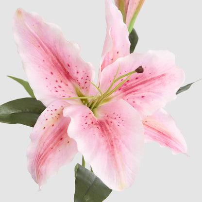 Casablanca 76cm Floral Stem Pink