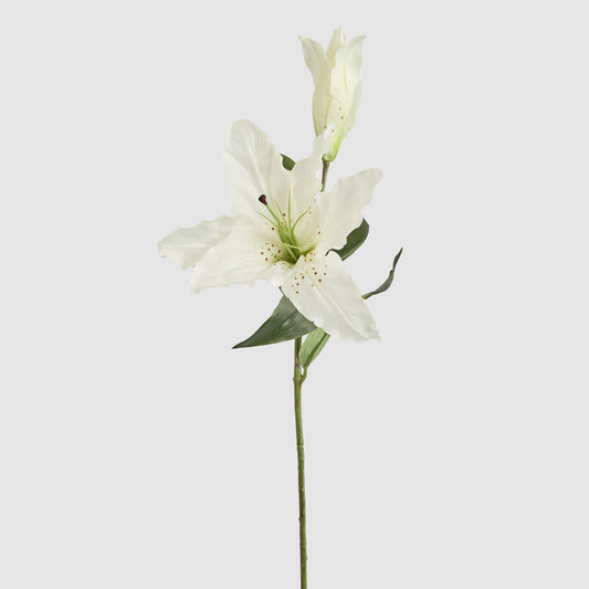 Casablanca 76cm Floral Stem White