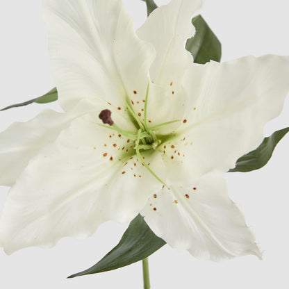 Casablanca 76cm Floral Stem White