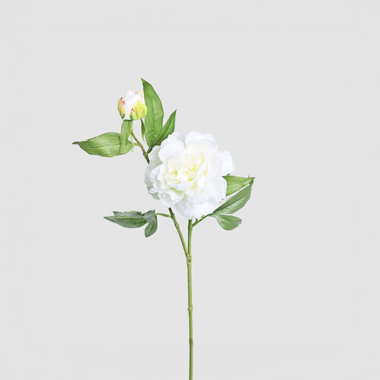Peony 69cm Floral Stem White