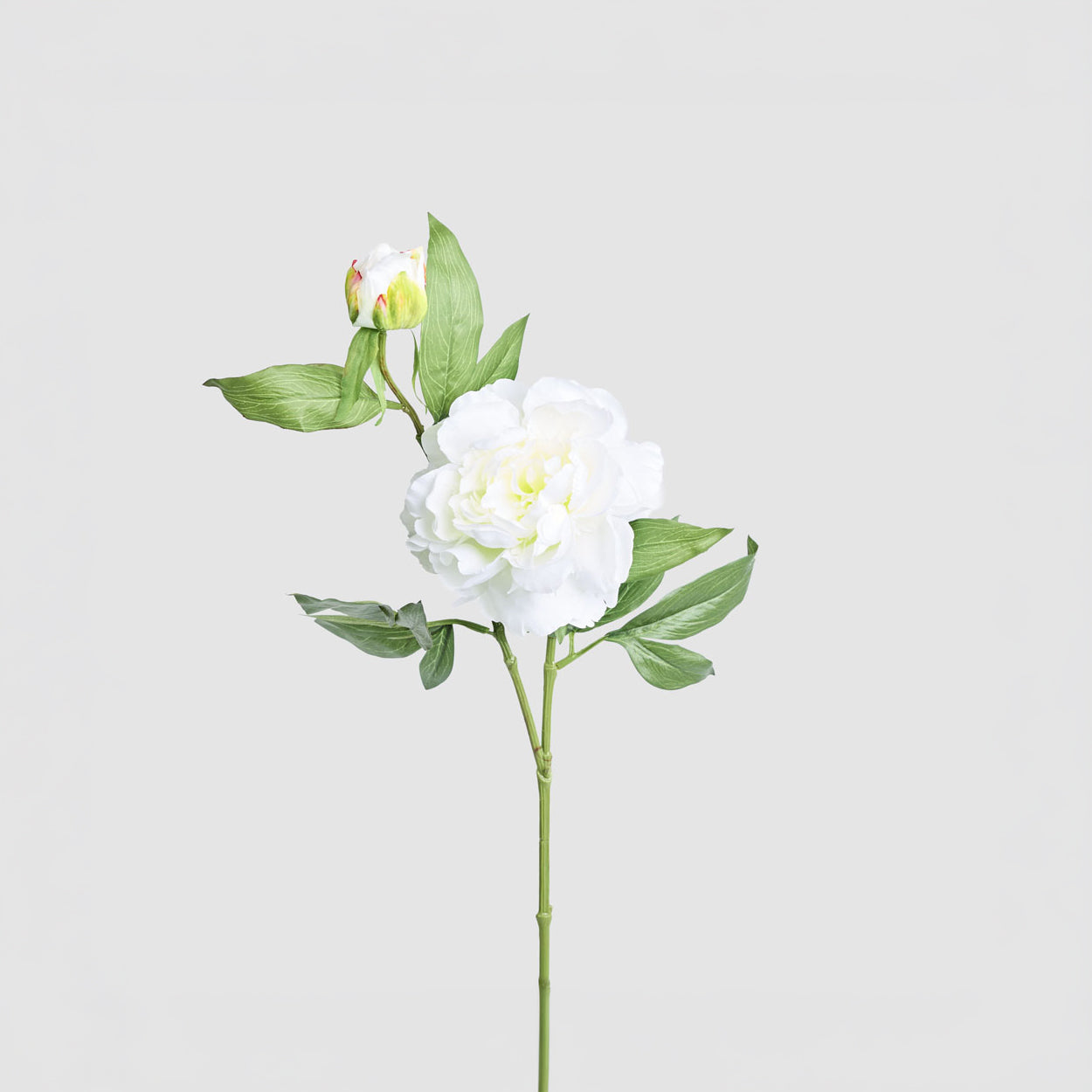 Peony 69cm Floral Stem White