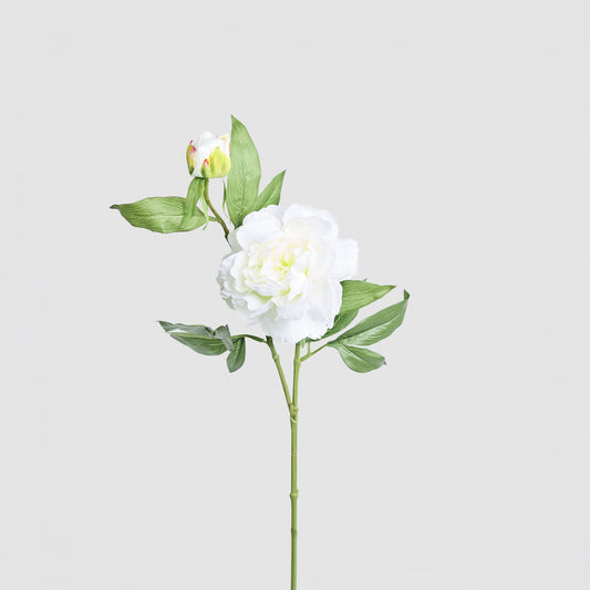 Peony 69cm Floral Stem White