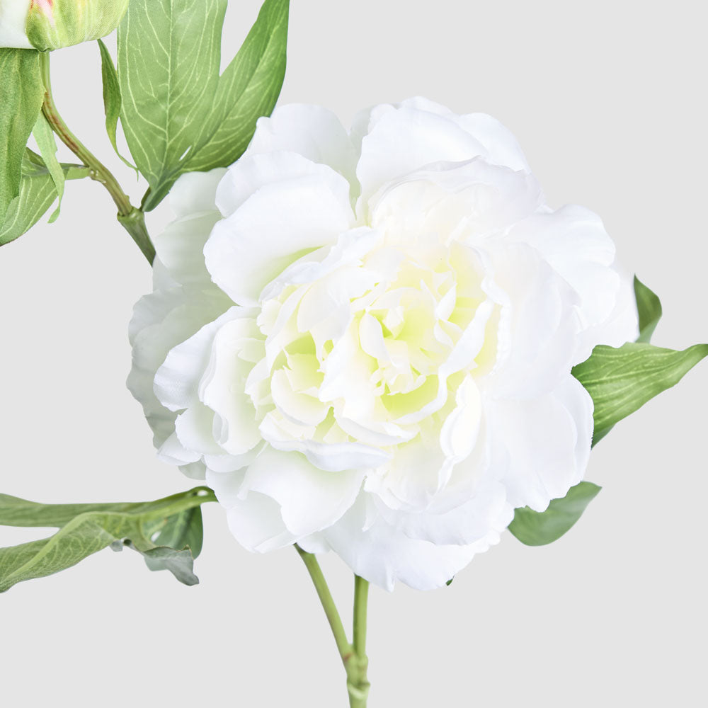 Peony 69cm Floral Stem White