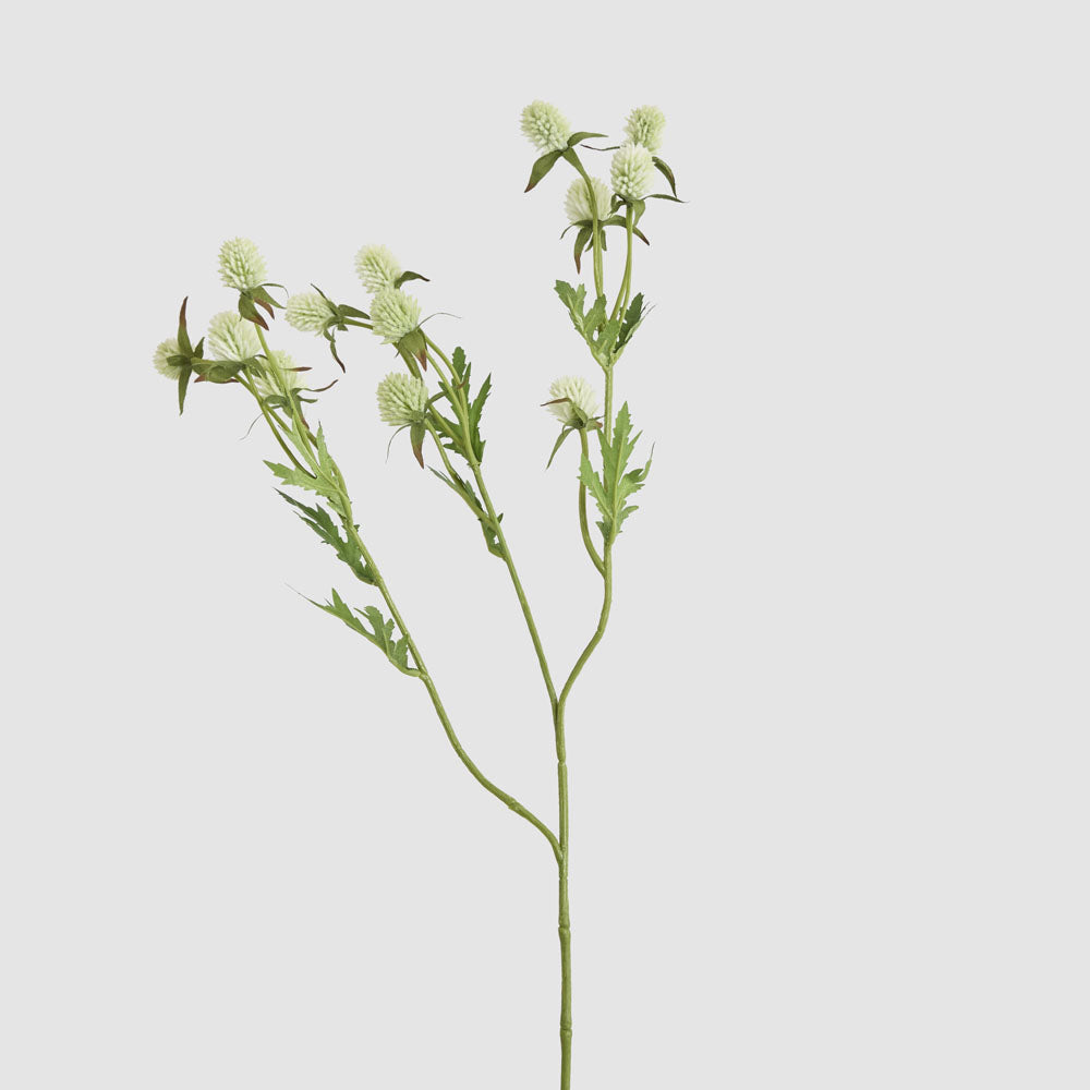 Thistle Spray 73cm White