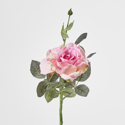 Queen Rose 35cm Pink