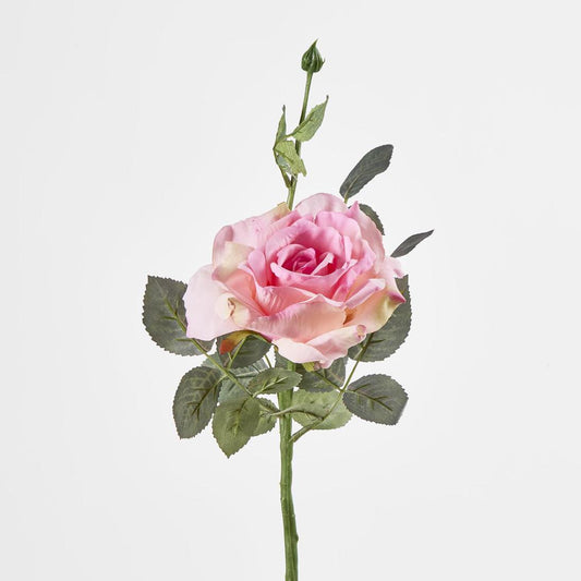 Queen Rose 35cm Pink