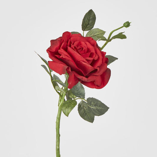Queen Rose 35cm Red