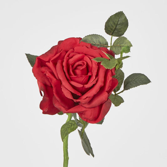 Queen Rose 35cm Red
