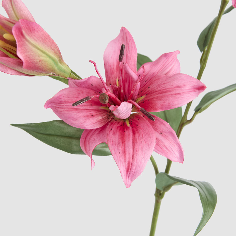Tiger Lily Spray 71cm Hot Pink