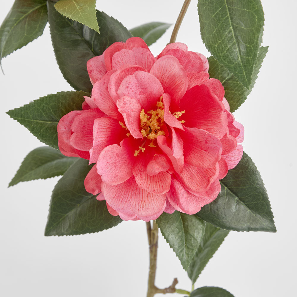 Camellia Spray 86cm Beauty
