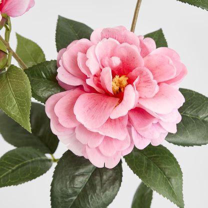 Camellia Spray 86cm 2 Tone Pink