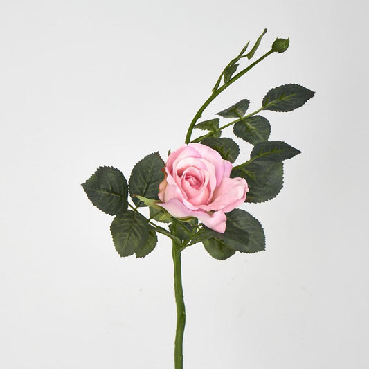 Alice Rose 36cm Pink