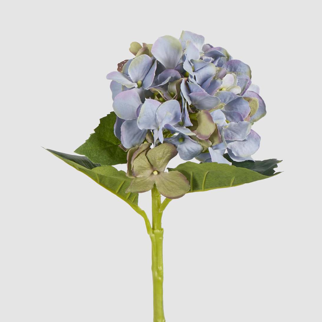 Hydrangea Water Stem 49cm Light Blue – Florabelle Living