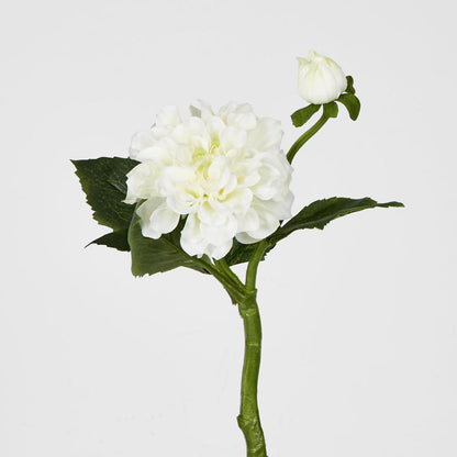 Frilly Dahlia White