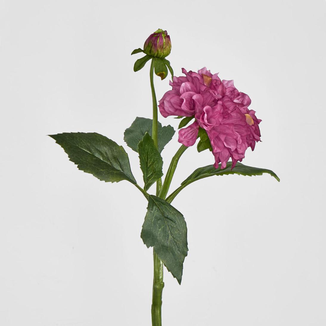 Frilly Dahlia Dark Pink
