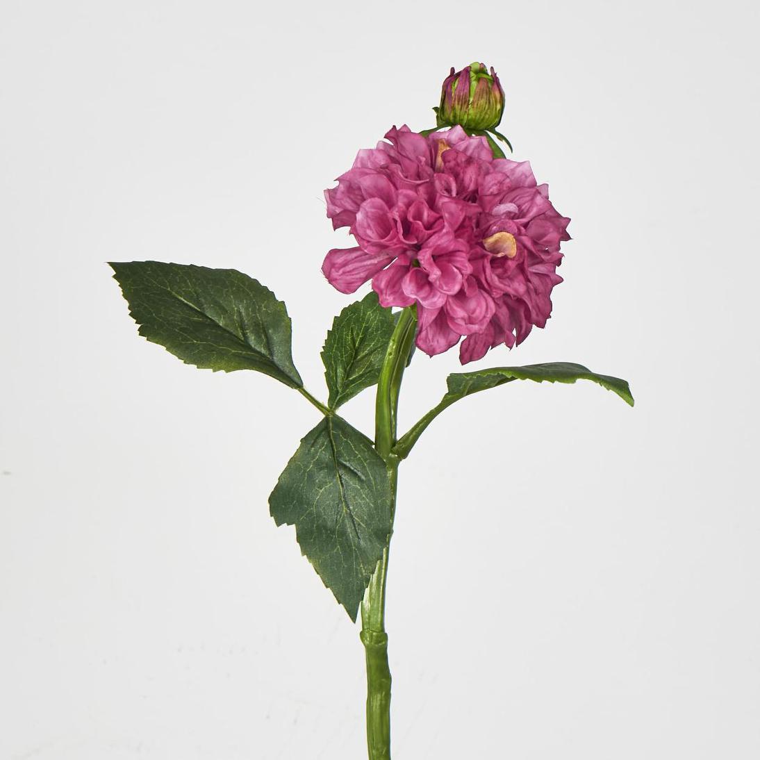 Frilly Dahlia Dark Pink